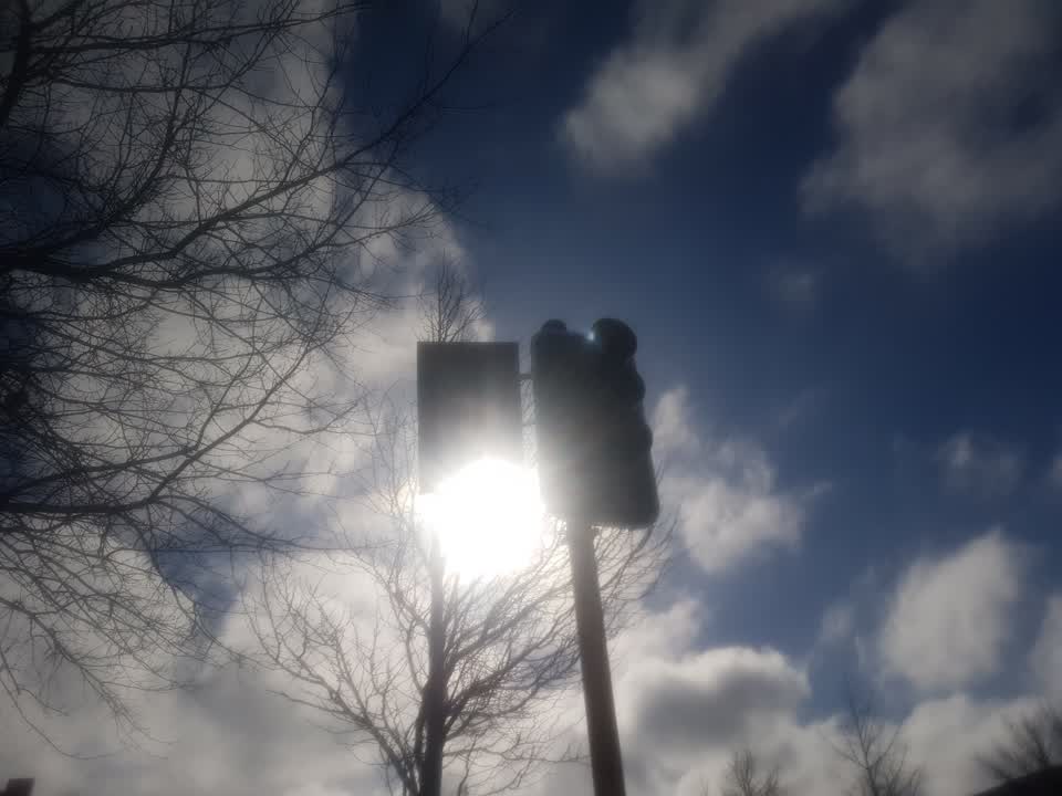The photograph attached to this street light outage report