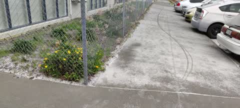 Wastewater/Stormwater, a report photo