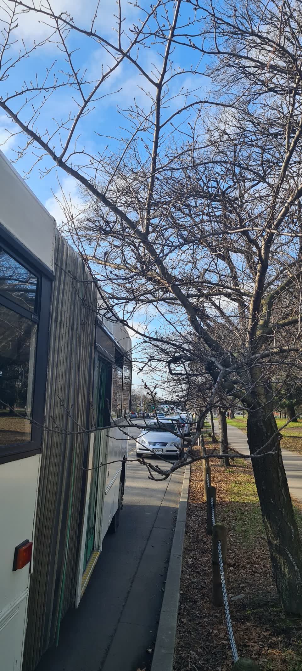 The photograph attached to this parks report