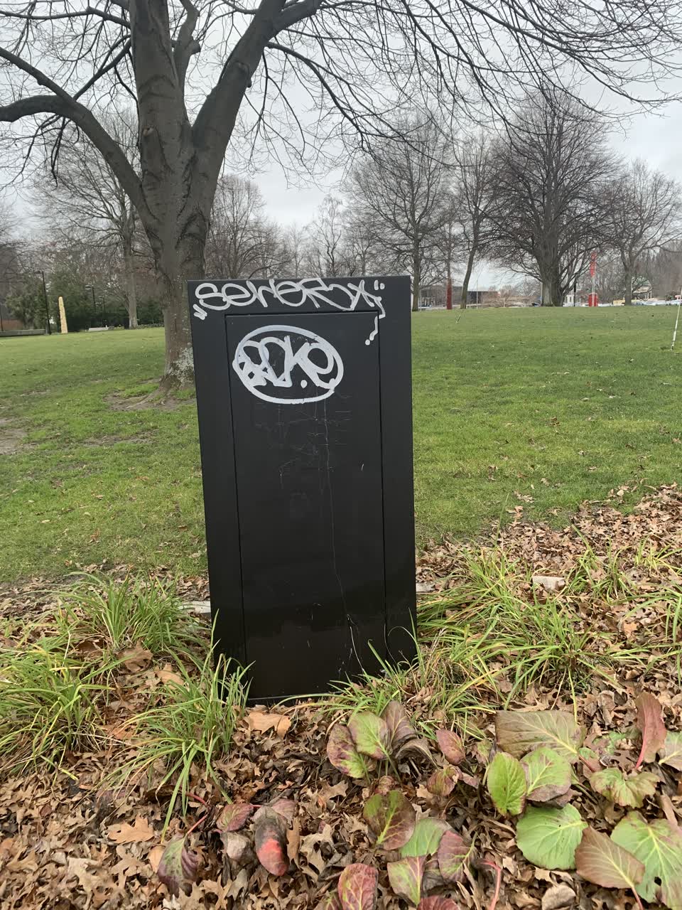 The photograph attached to this graffiti report
