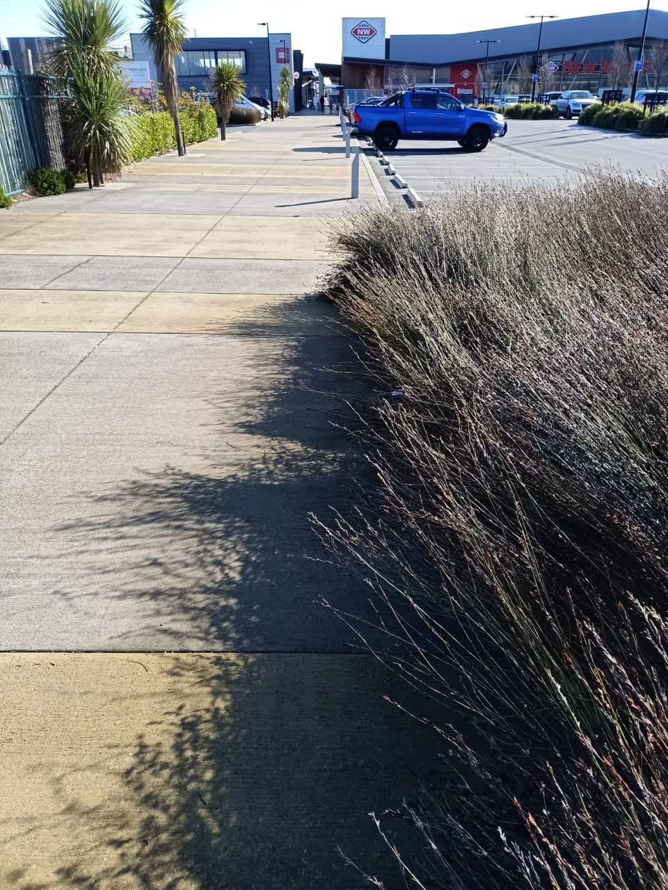 The photograph attached to this street light outage report