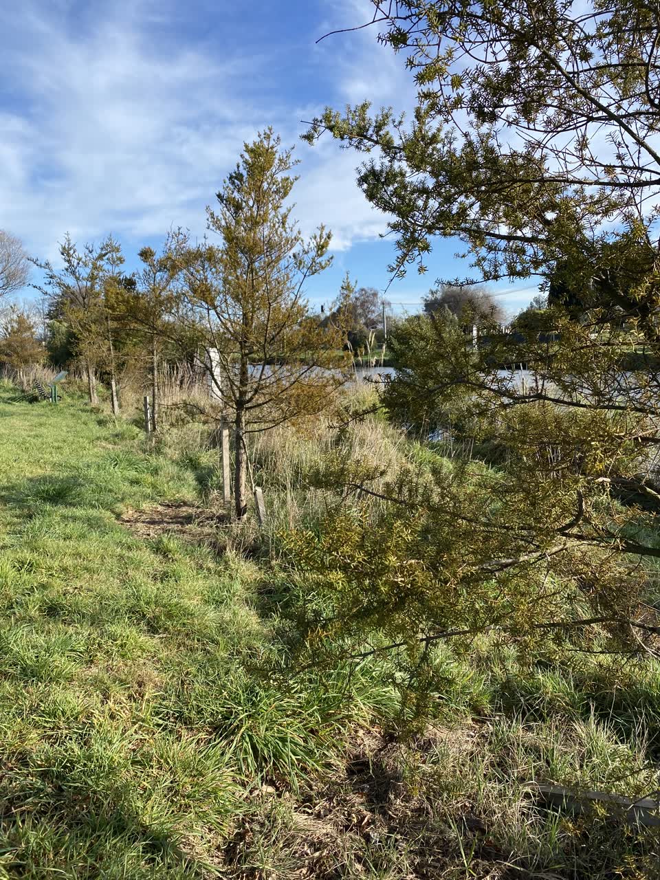 The photograph attached to this parks report