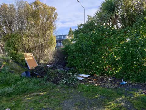 Rubbish/Recycling, a report photo