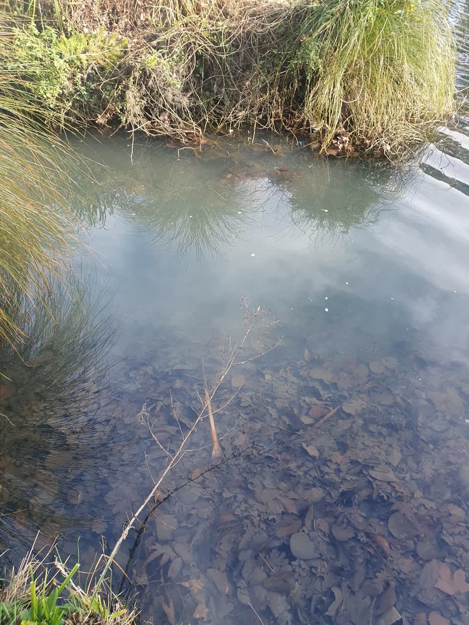 The photograph attached to this wastewater/stormwater report