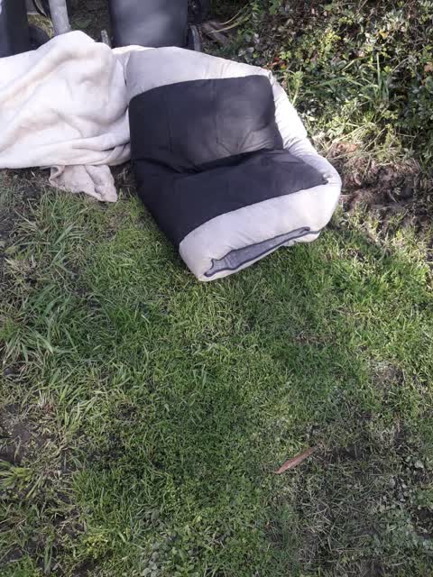 Parks, a report photo
