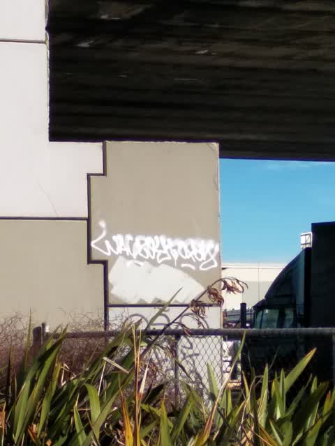 Graffiti, a report photo