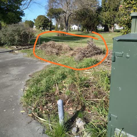 Rubbish/Recycling, a report photo