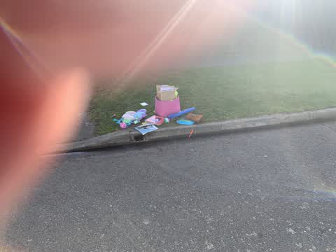 Rubbish/Recycling, a report photo