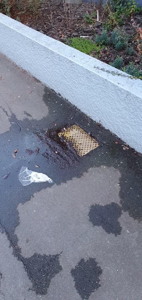 Water Leak, a report photo