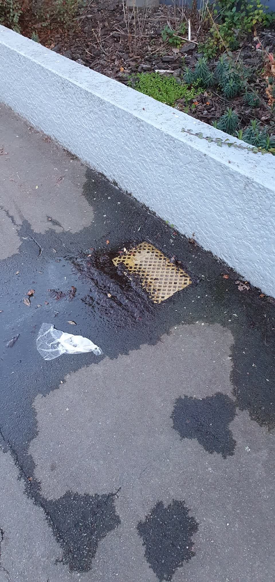 The photograph attached to this water leak report