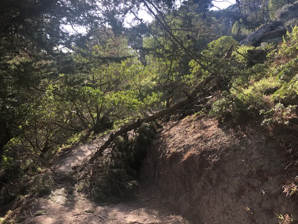 The photograph attached to this parks report