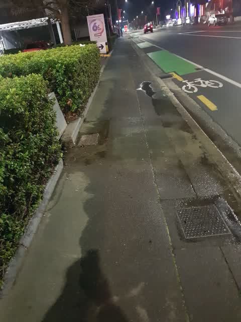 Roading/Streets, a report photo