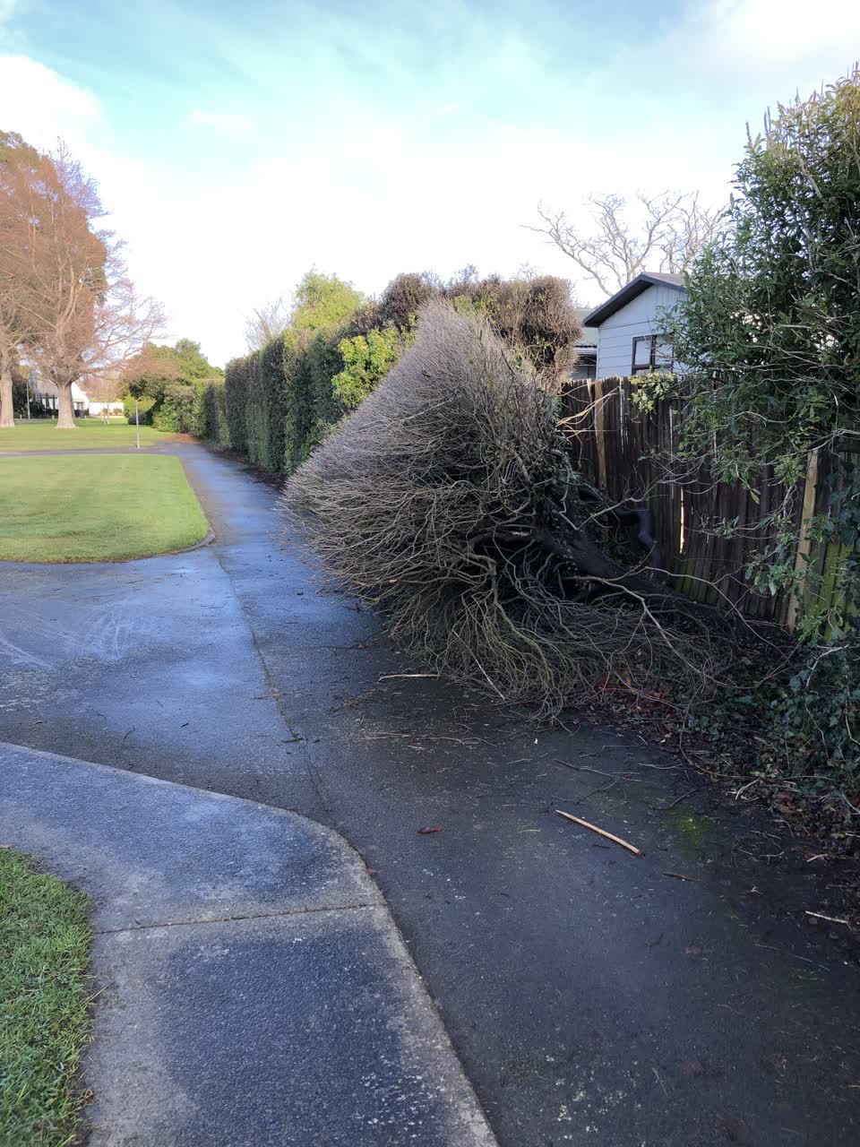 The photograph attached to this parks report