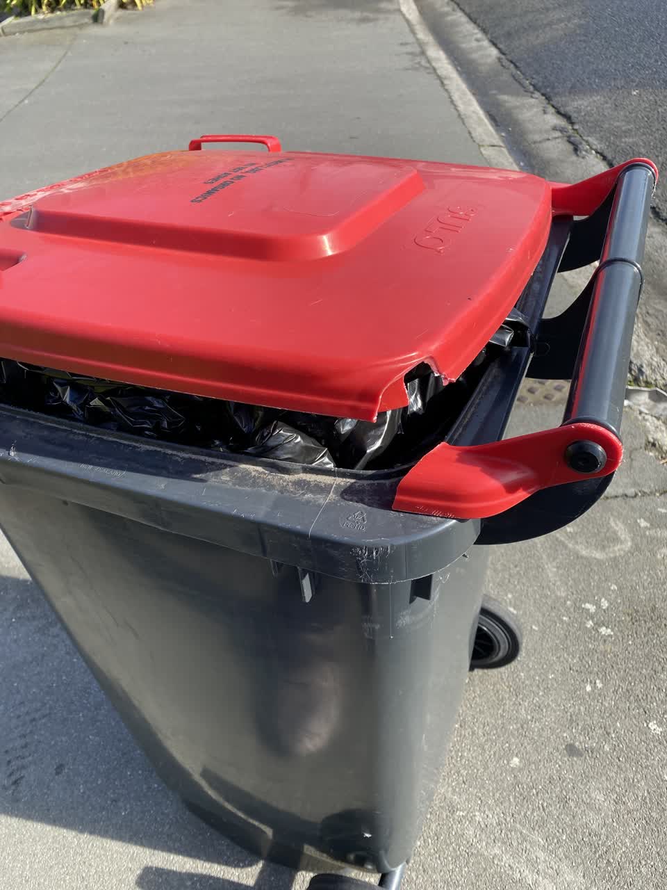 The photograph attached to this rubbish/recycling report