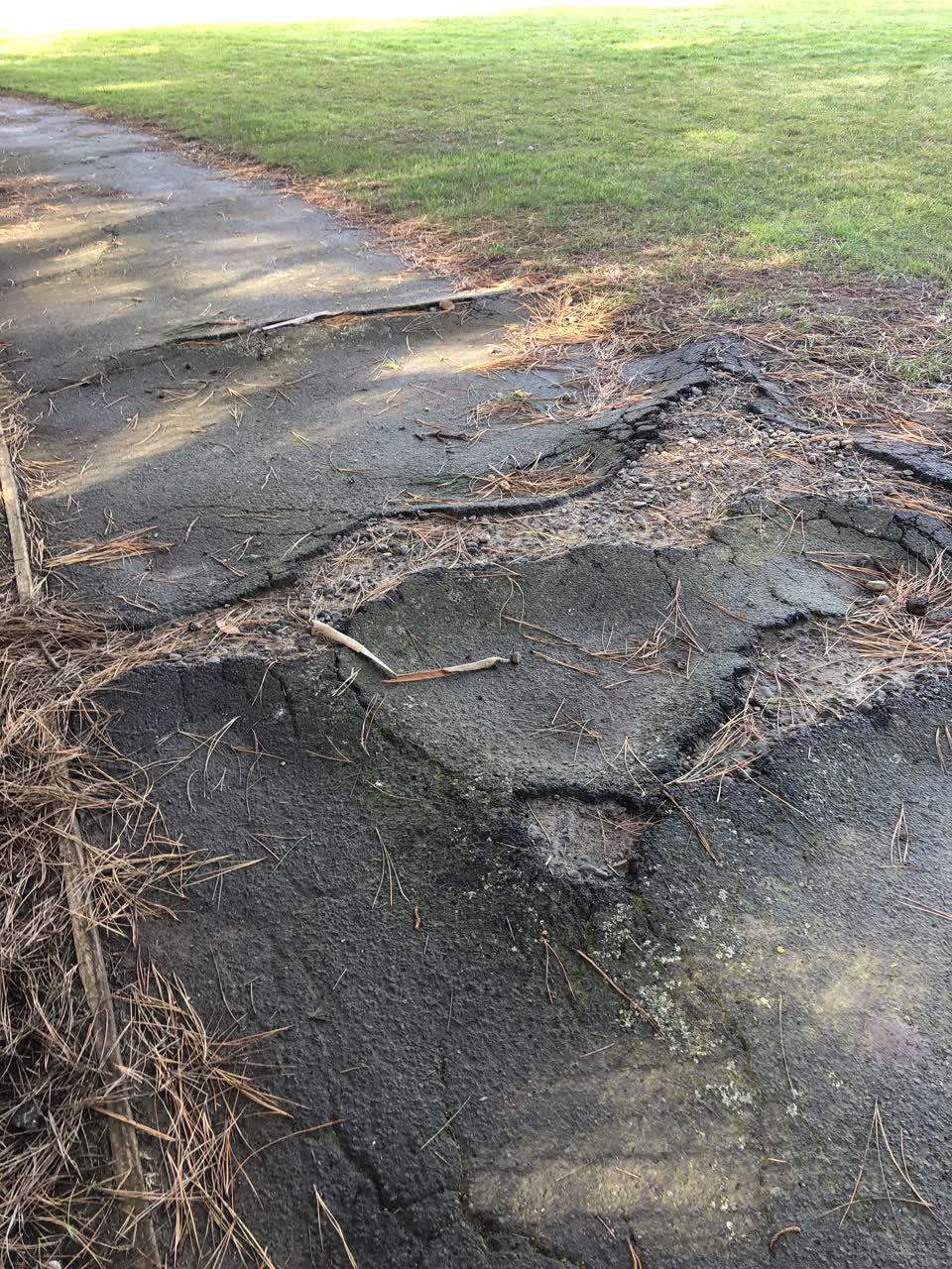 The photograph attached to this parks report