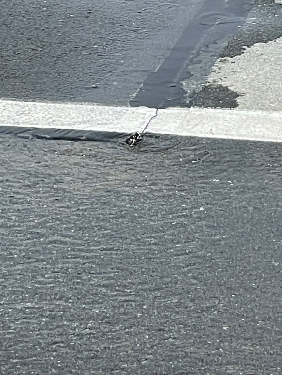 The photograph attached to this water leak report
