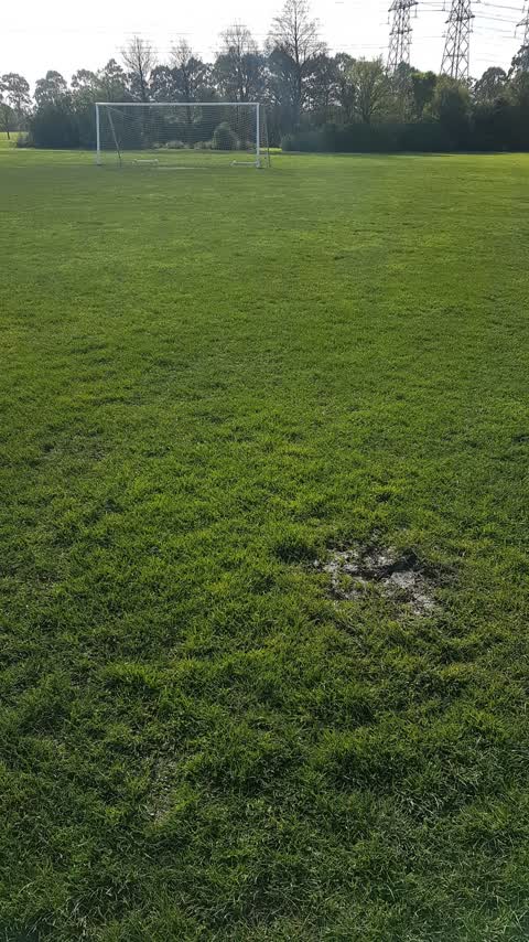 Parks, a report photo