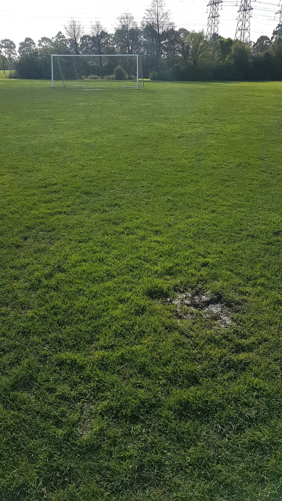 The photograph attached to this parks report