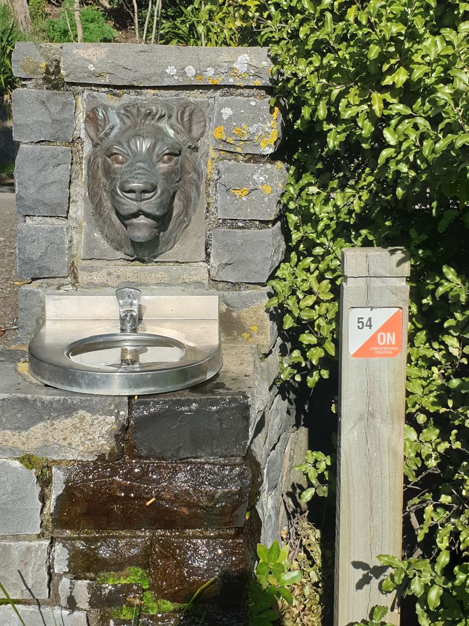 The photograph attached to this water supply report