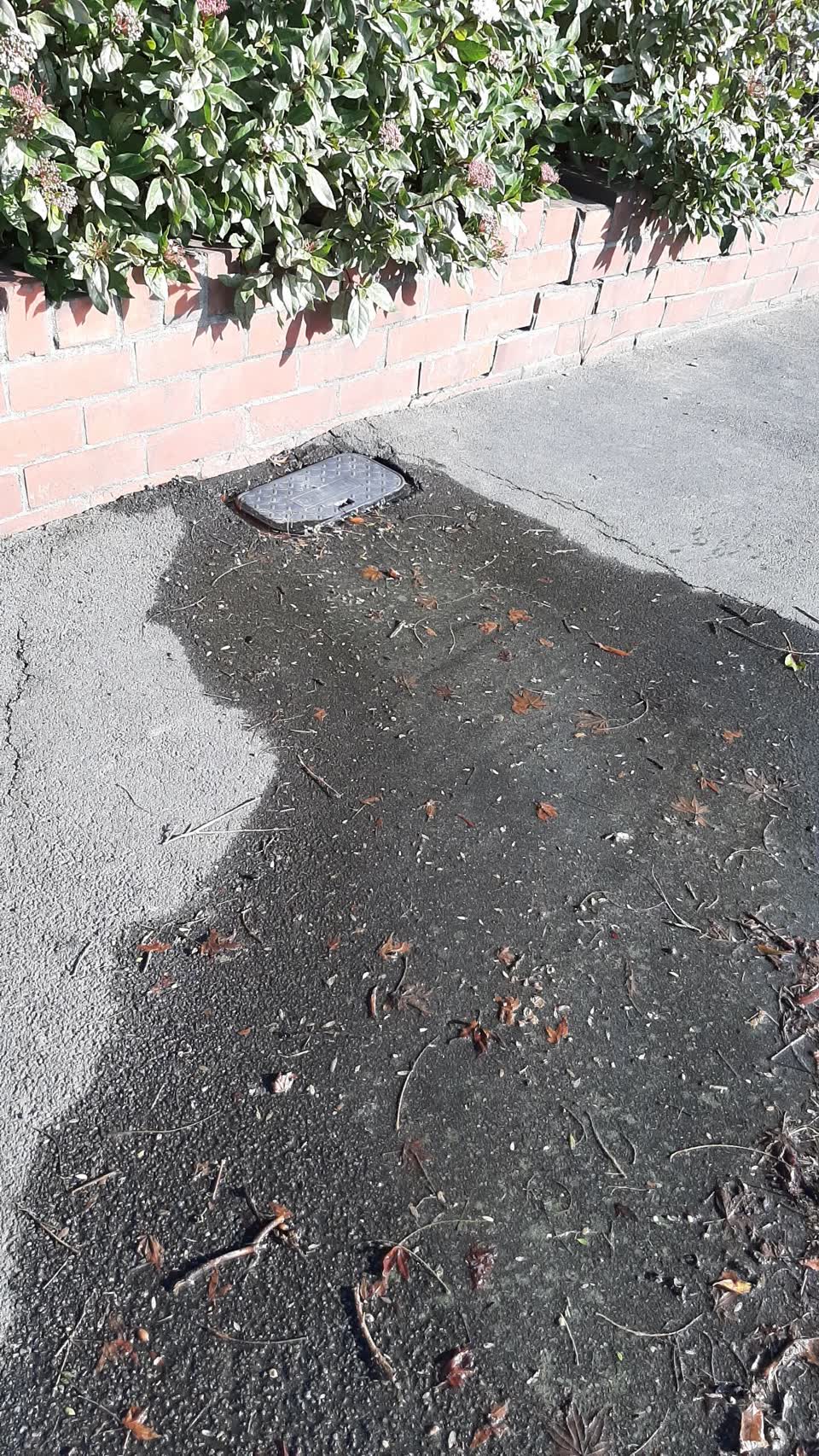 The photograph attached to this water supply report