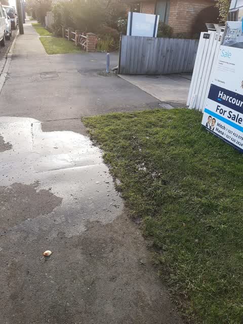Water Leak, a report photo