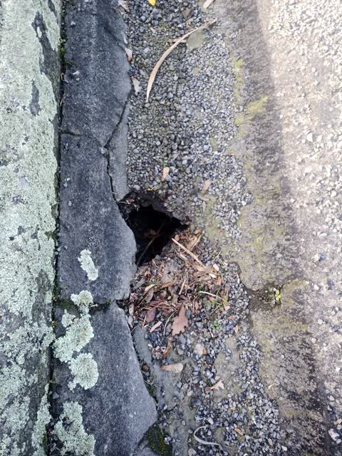 Roading/Streets, a report photo