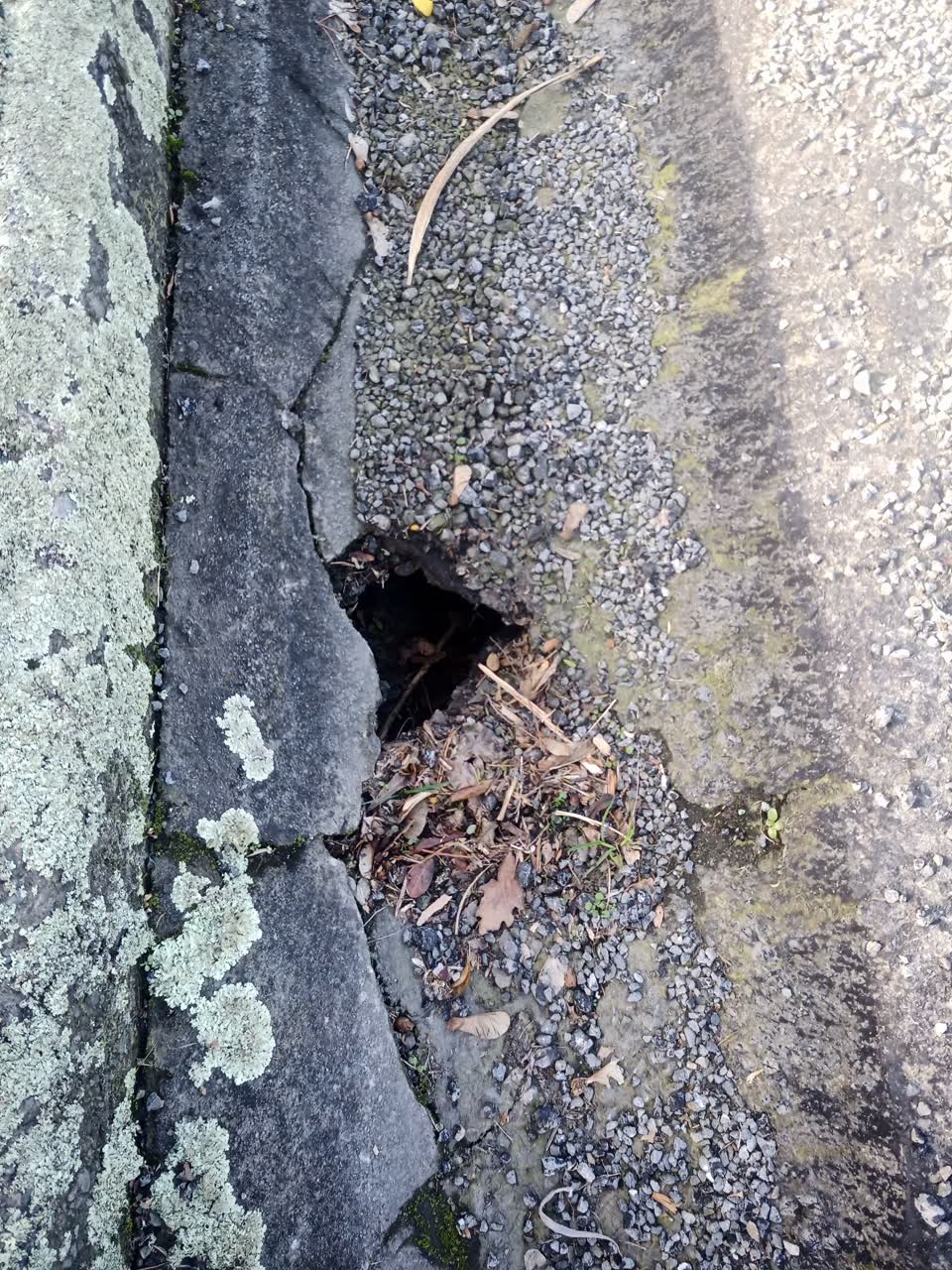 The photograph attached to this roading/streets report