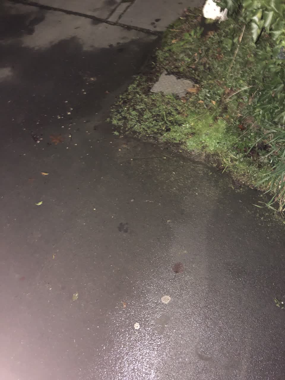 The photograph attached to this water leak report