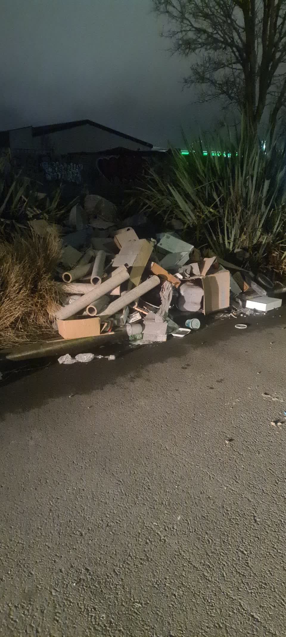 The photograph attached to this rubbish/recycling report