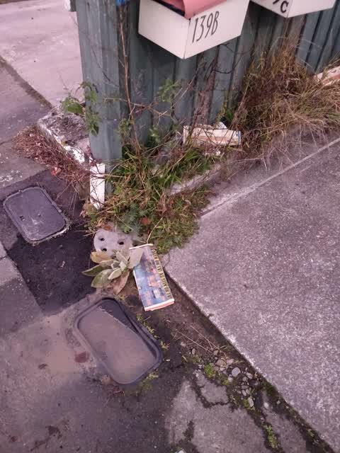 Water Leak, a report photo