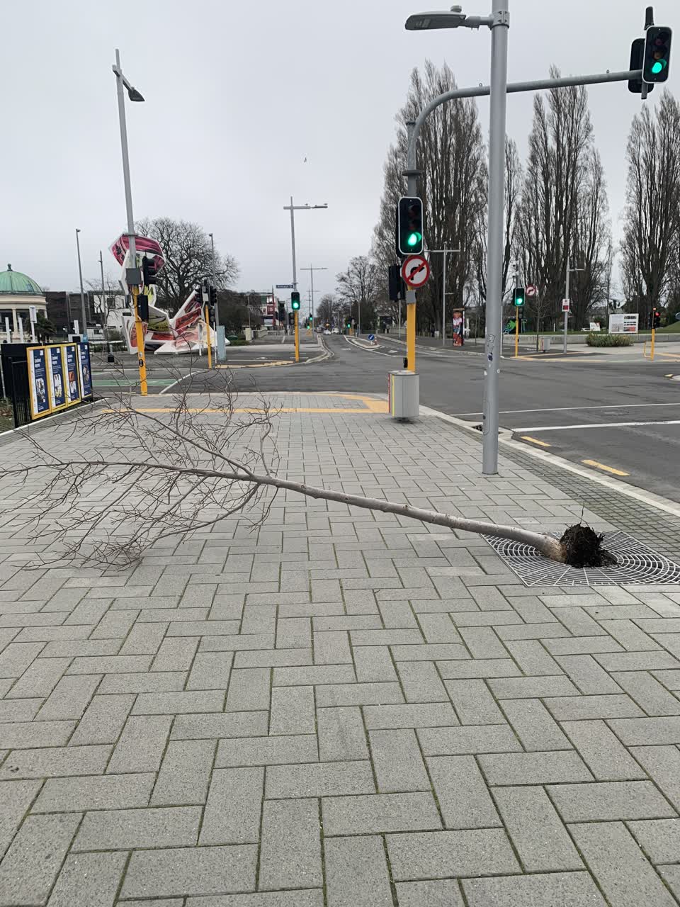 The photograph attached to this parks report