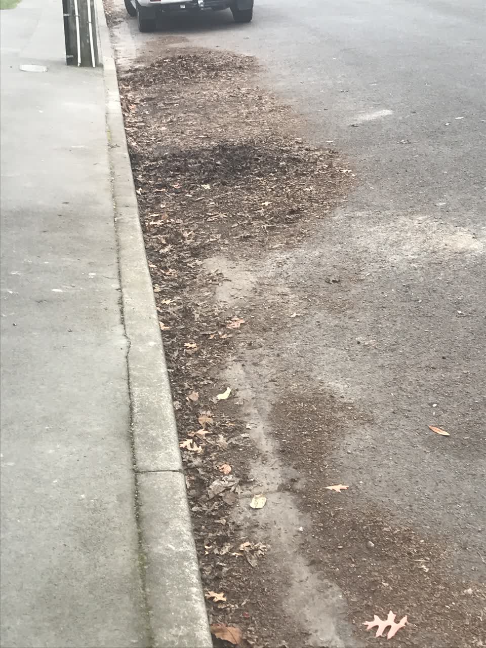 The photograph attached to this wastewater/stormwater report