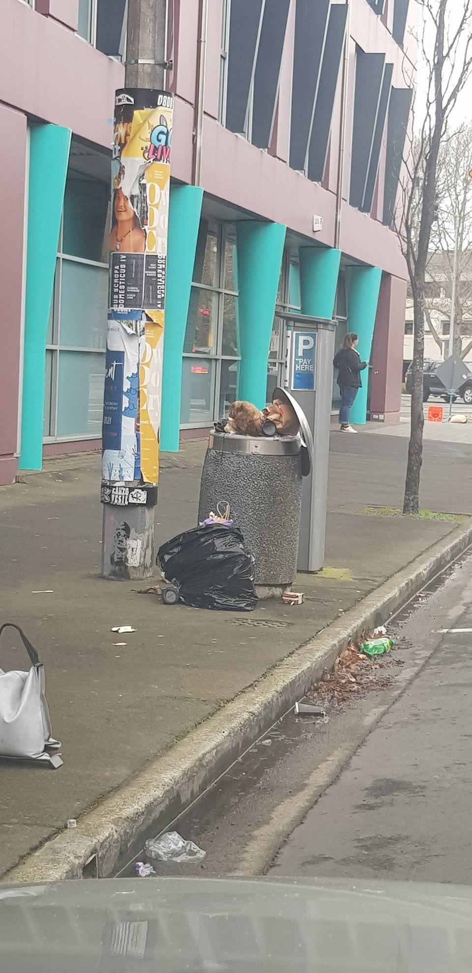 The photograph attached to this rubbish/recycling report