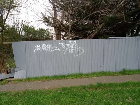 Graffiti, a report photo