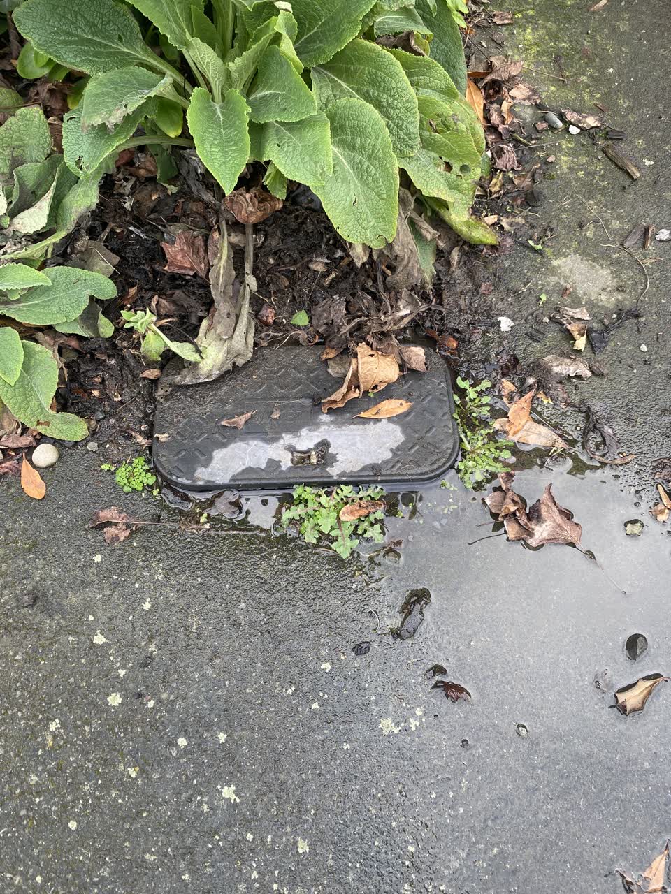 The photograph attached to this water leak report