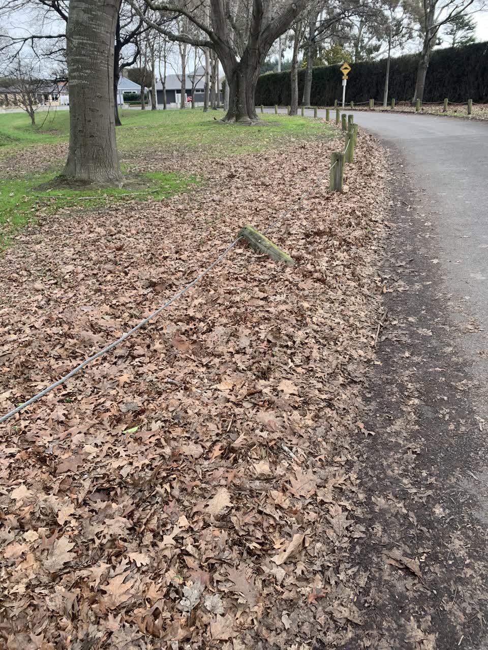 The photograph attached to this parks report