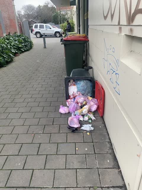 Rubbish/Recycling, a report photo