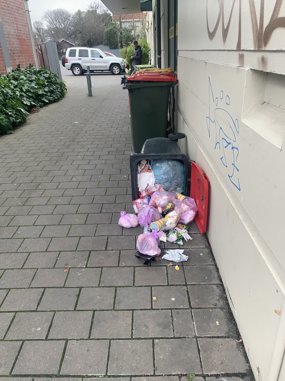 The photograph attached to this rubbish/recycling report