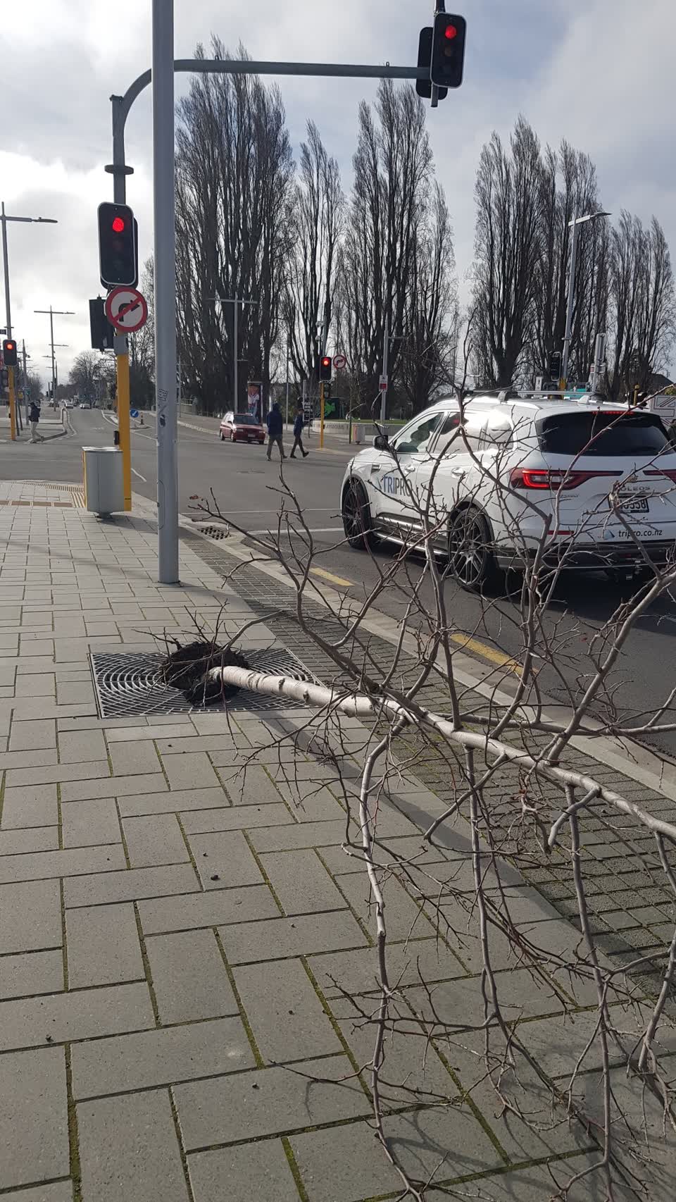 The photograph attached to this parks report