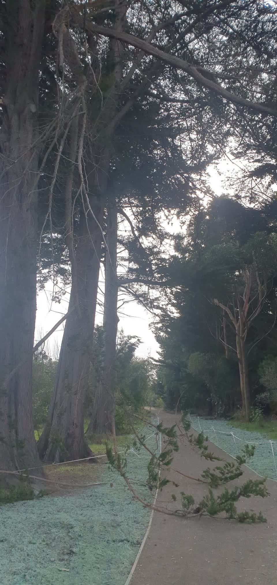 The photograph attached to this parks report
