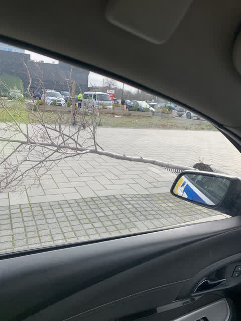 Roading/Streets, a report photo