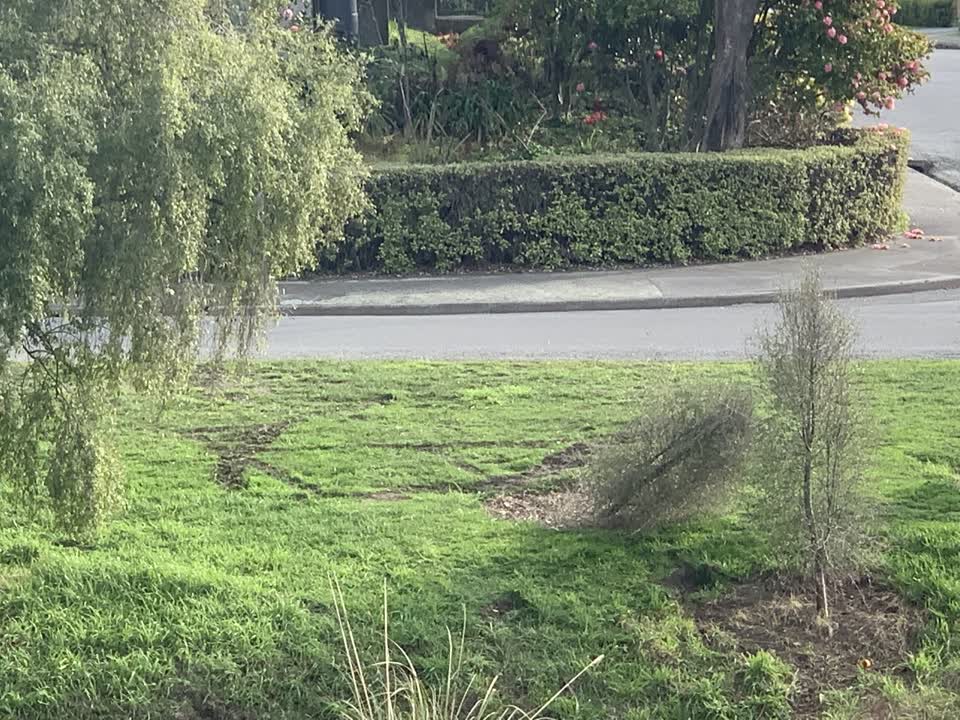 The photograph attached to this parks report