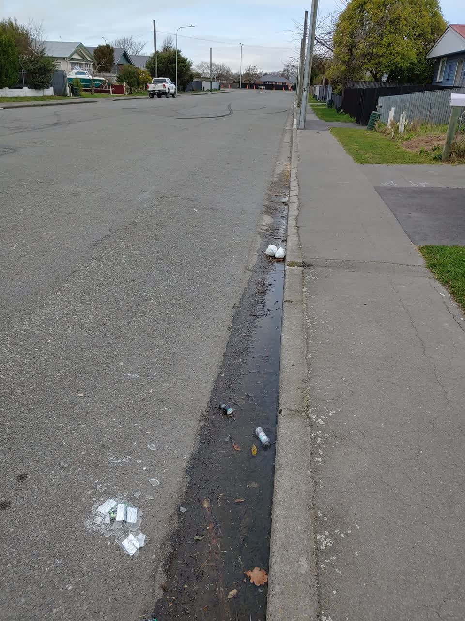 The photograph attached to this roading/streets report