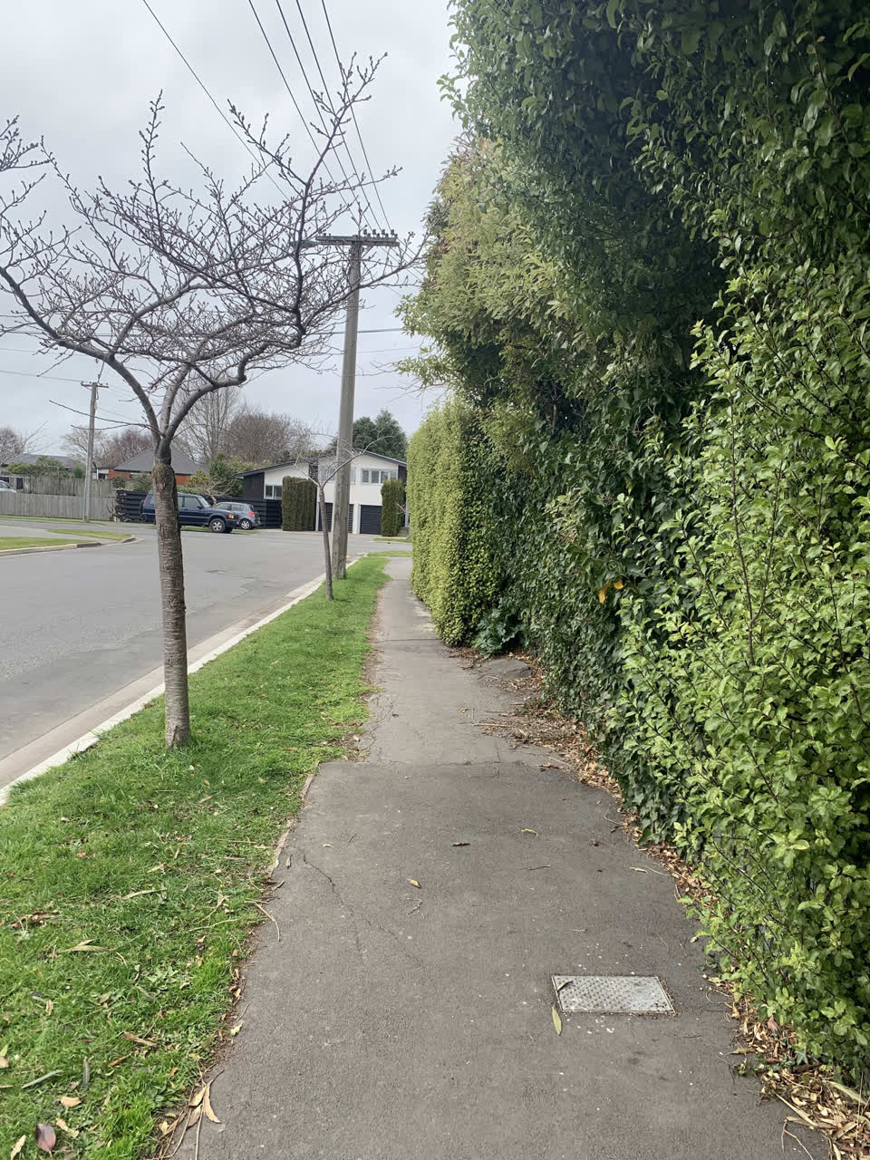 The photograph attached to this roading/streets report