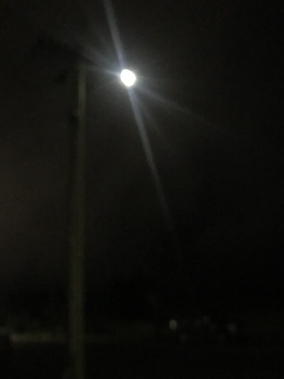 The photograph attached to this street light outage report