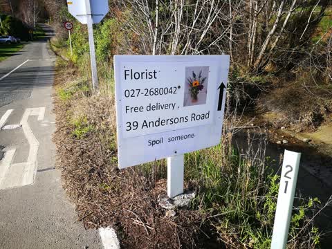 Roading/Streets, a report photo