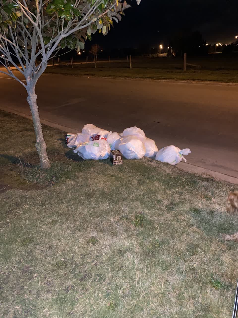 The photograph attached to this rubbish/recycling report