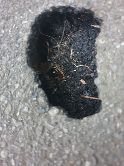 Roading/Streets, a report photo