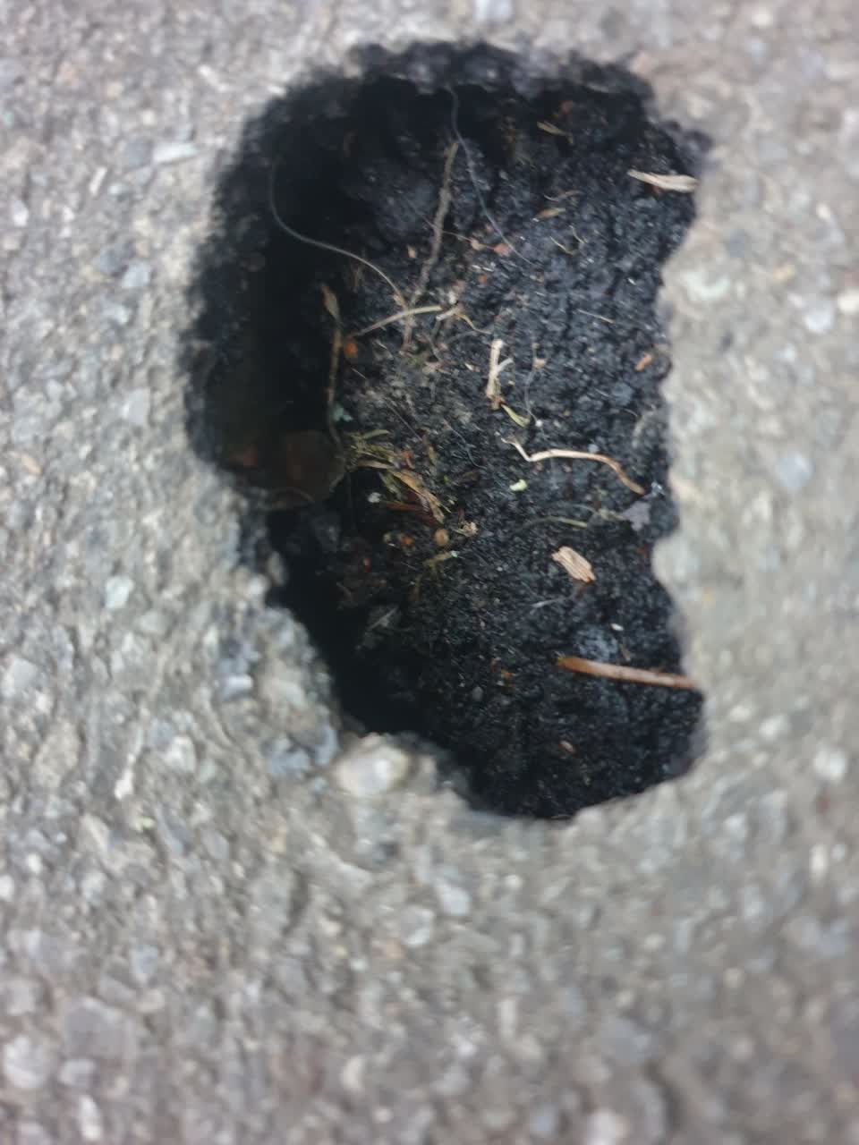 The photograph attached to this roading/streets report