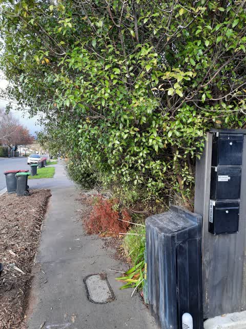 Roading/Streets, a report photo
